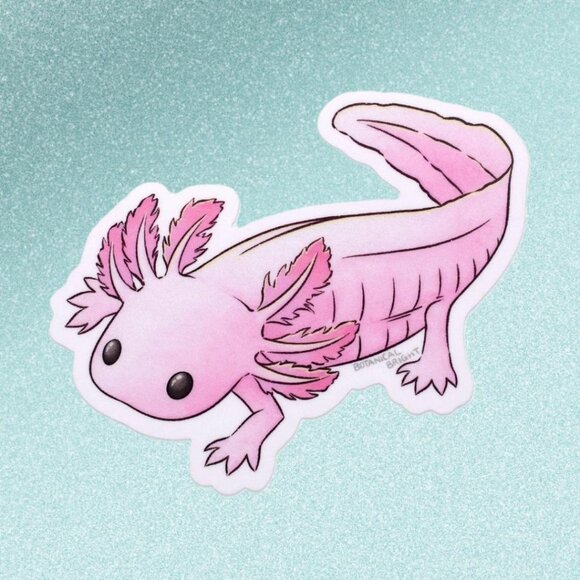 3 for $15 -‎ Axolotl Sticker - Waterproof Vinyl - Picture 2 of 4